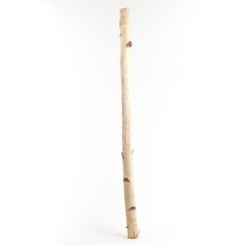 BIRCH POLE 32"H 1PK