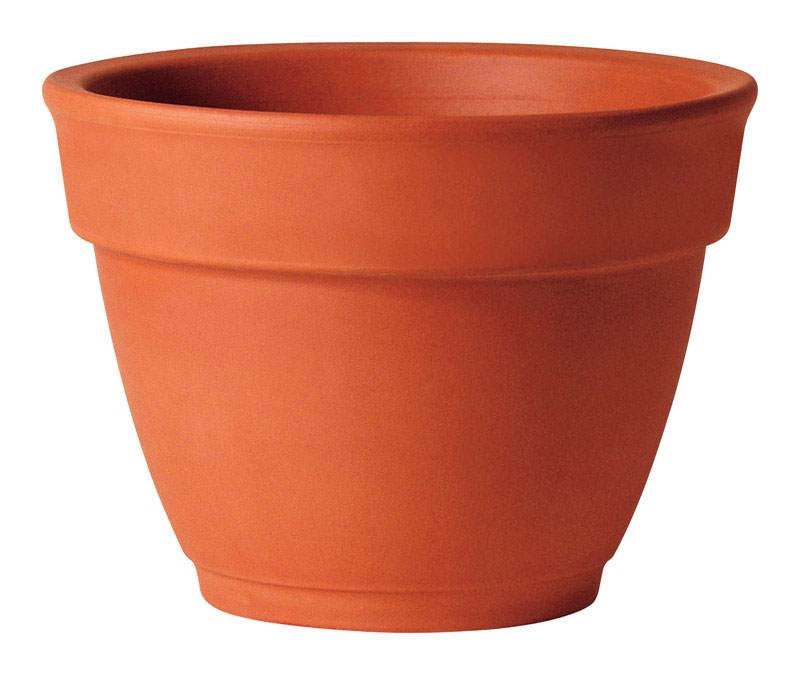 RED CLAY GARDENBELL 4.3" - Pack of 24