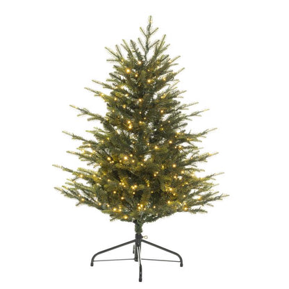 Emery Jensen 4-foot TREE EM SPR CC 350CT, a container-grown evergreen tree under 6 feet for landscaping.