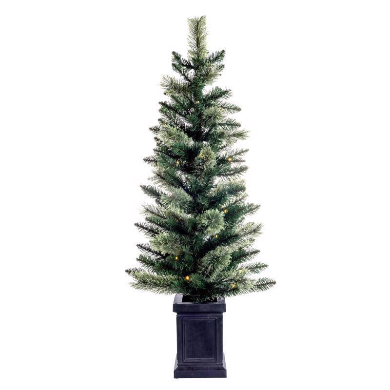 Emery Jensen Tree MXD PN PTTD FLL 4-foot tree, under 6ft, showing lush green foliage in a natural setting