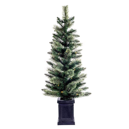 Emery Jensen Tree MXD PN PTTD FLL 4-foot tree, under 6ft, showing lush green foliage in a natural setting