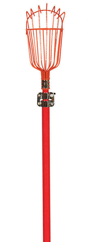 Emery Jensen fruit picker with a long handle and orange harvesting hook for picking fruits and vegetables from tall trees.