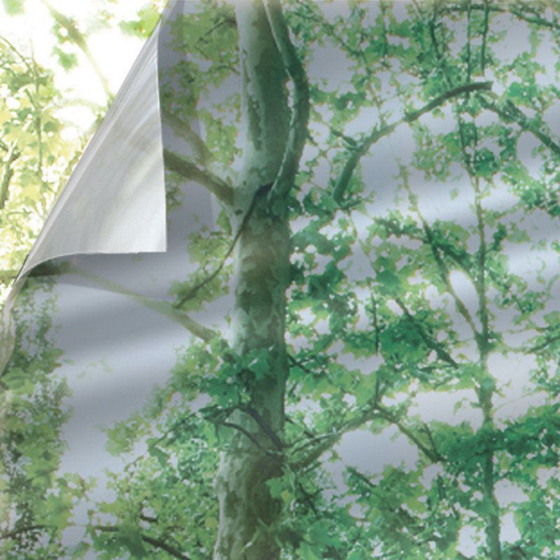 Emery Jensen Film Windo Priv3x15slvr window film showing reflective silver surface on window for privacy and sun protection