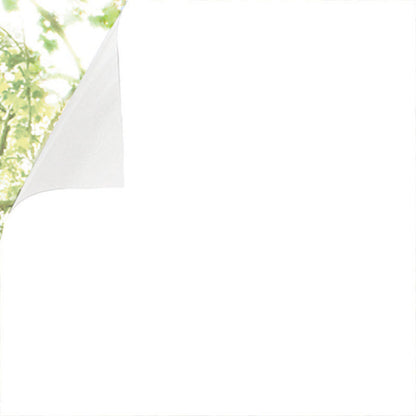 Emery Jensen WINDO window film PRIV4X6.5WH applied to a window, providing privacy and UV protection with a frosted appearance.